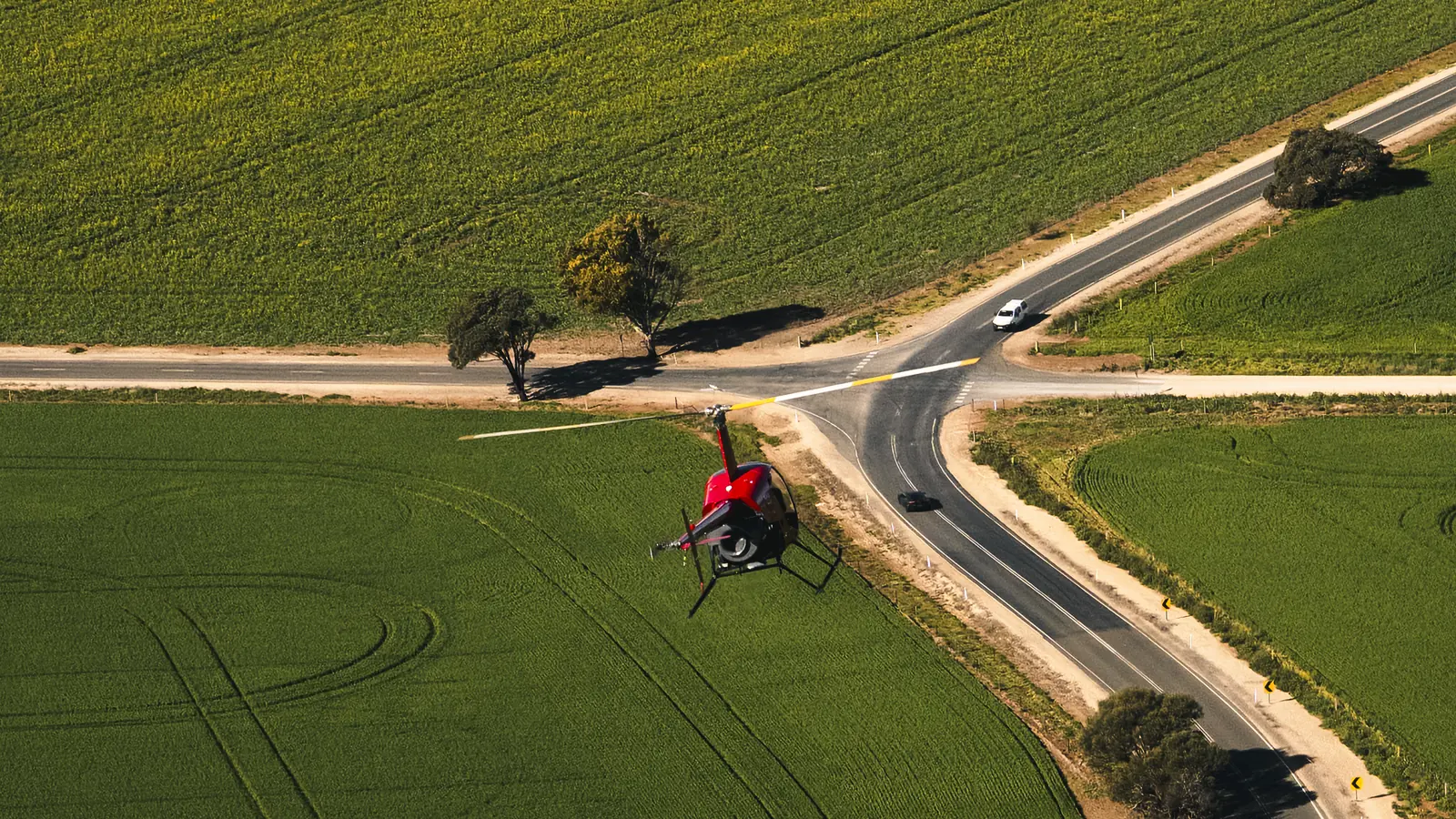 SA Helicopter by OH CREATIVE, aerial of a Robinson R22 over canola near Adelaide